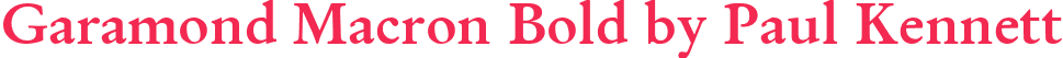 Garamond Macron Bold by Paul Kennett